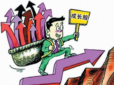 选择成长股的重要原则