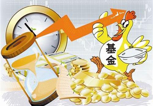 投基“管好”风险等级 “散养”基金切记七“防”