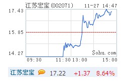 江苏宏宝跌停打开 大涨近5%